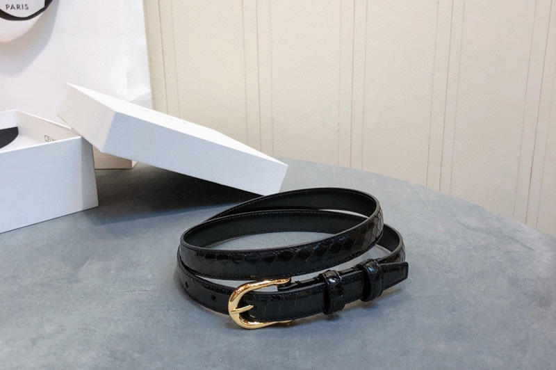 Celine 6 belt with Gold rounded buckle in karung Black
