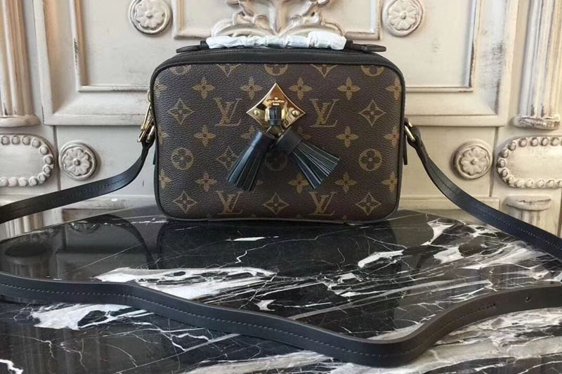 Louis Vuitton M44258 Monogram Canvas Camera Case Bag Black