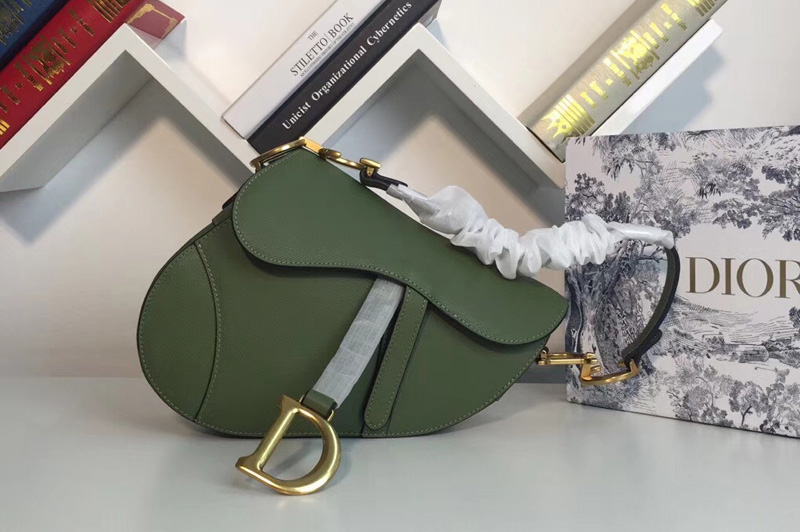 Dior M0446 Saddle bag in Green embossed Grained calfskin Leather