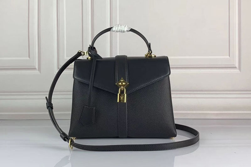 Louis Vuitton M53821 LV Rose Des Vents PM Bags Black Calf Leather