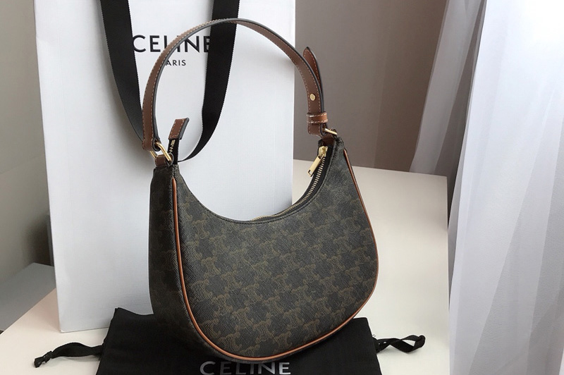 Celine 193952 Ava Triomphe Bag in Triomphe Canvas and calfskin