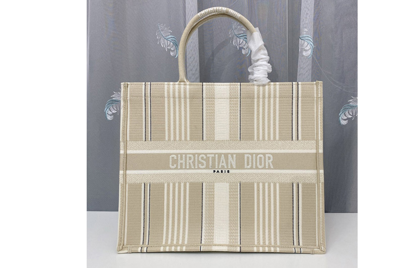 Christian Dior M1286 Dior book tote Bag in Beige Stripes Embroidery
