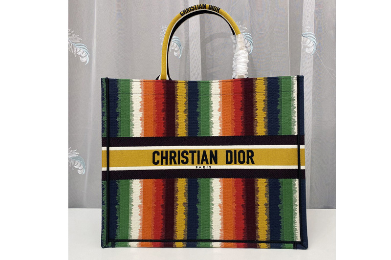 Christian Dior M1286 Dior book tote Bag in Multicolor D-Stripes Embroidery