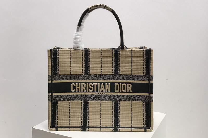 Christian Dior M1296 Small Dior Book Tote Bag