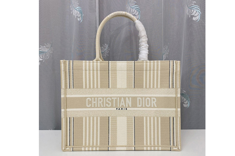 Christian Dior M1296 Small Dior Book Tote Bag in Beige Stripes Embroidery