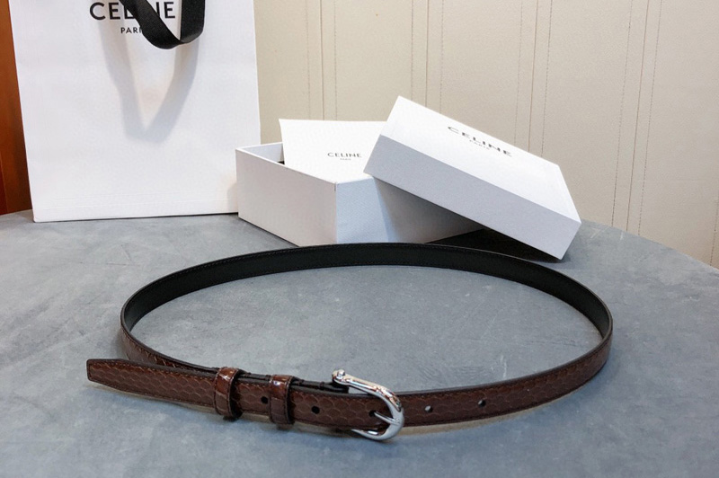 Celine 6 belt with Silver rounded buckle in karung Brown