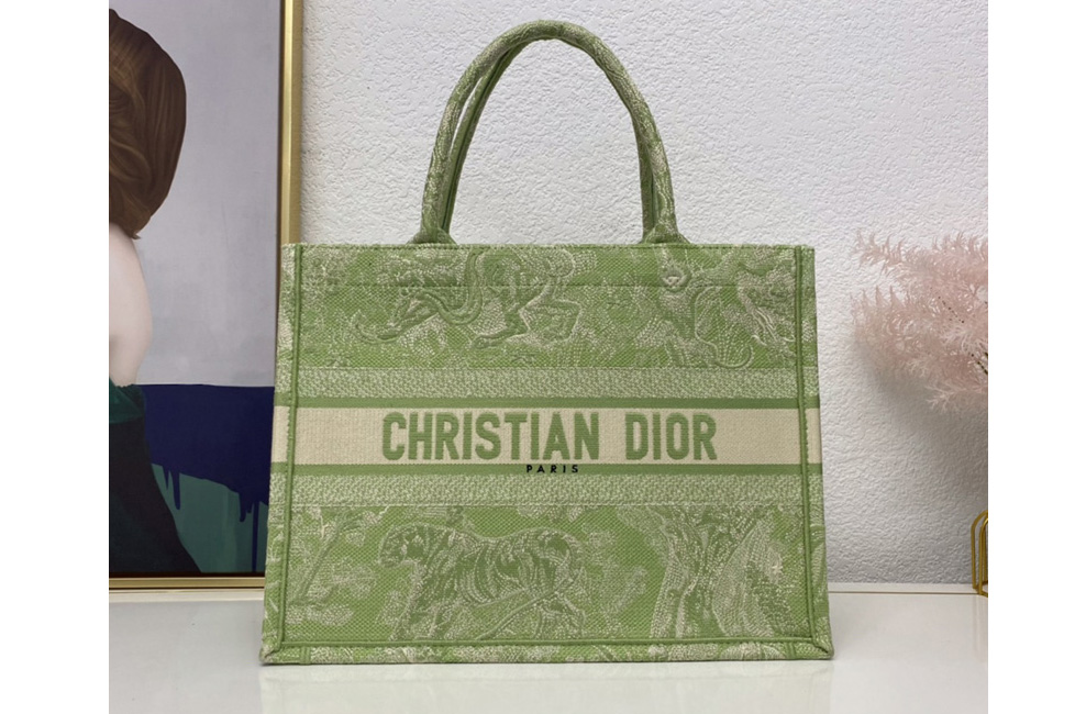Christian Dior M1296 Dior book tote Bag in Green Toile de Jouy Reverse Embroidery
