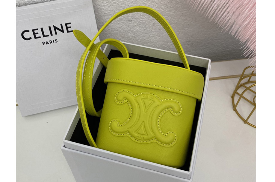 Celine 199263 SMALL BOX CUIR TRIOMPHE Bag IN ANIS SMOOTH CALFSKIN