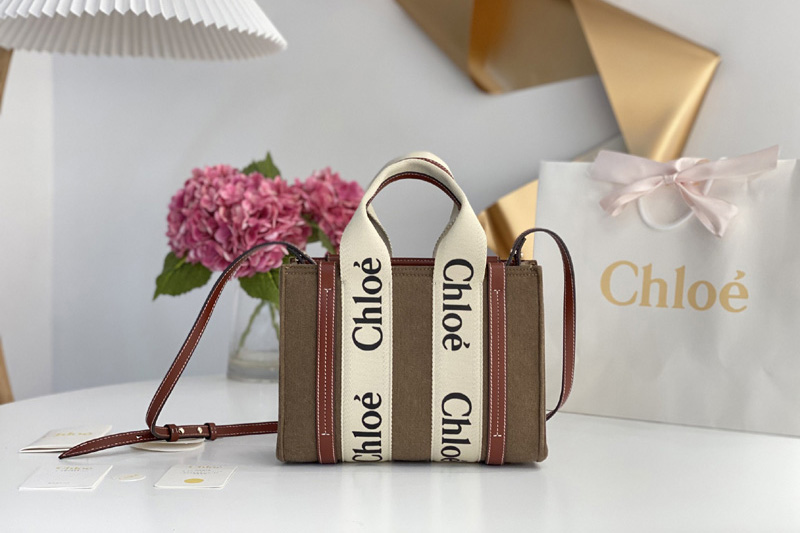 Chloe Small Woody tote bag with strap in linen & shiny calfskin with handmade embroidery & Woody ribbon