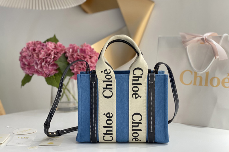 Chloe Small Woody tote bag with strap in linen & shiny calfskin with handmade embroidery & Woody ribbon