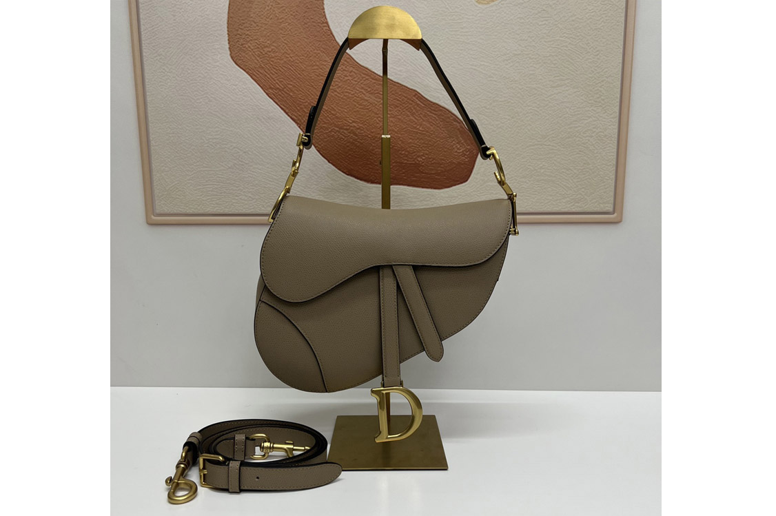 Dior M0455 Saddle bag With Strap in Khaki Goatskin Leather