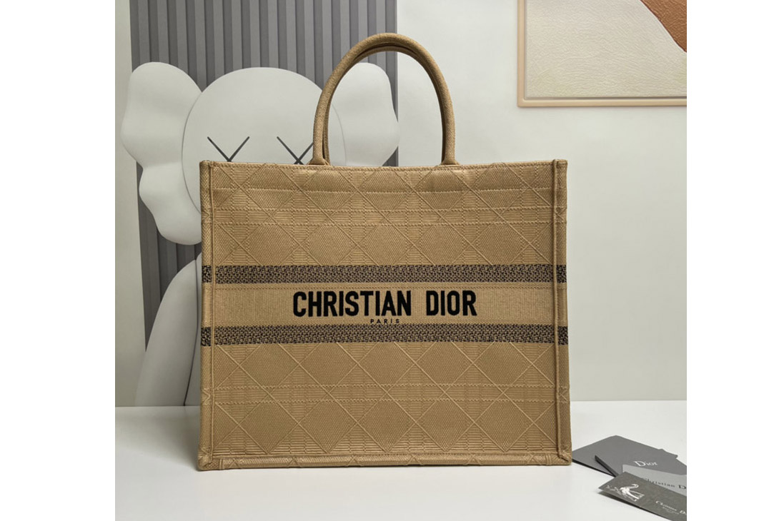 Christian Dior M1286 Dior book tote Bag in Brown Embroidery
