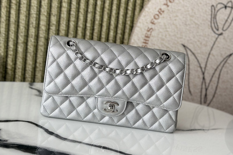 CC 11.12 Classic Handbag A01112 in Silver Leather