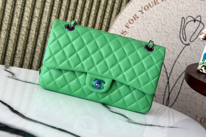 CC 11.12 Classic Handbag A01112 in Green Leather