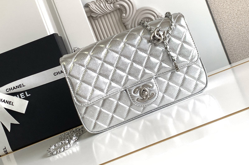 CC Flap Bag in Silver Leather