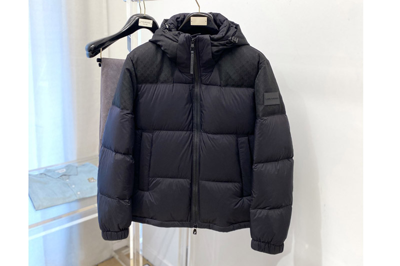 Louis Vuitton Down Jacket