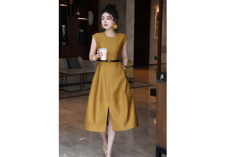 Dior Dress
