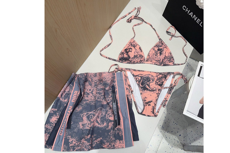 Dior Bikini