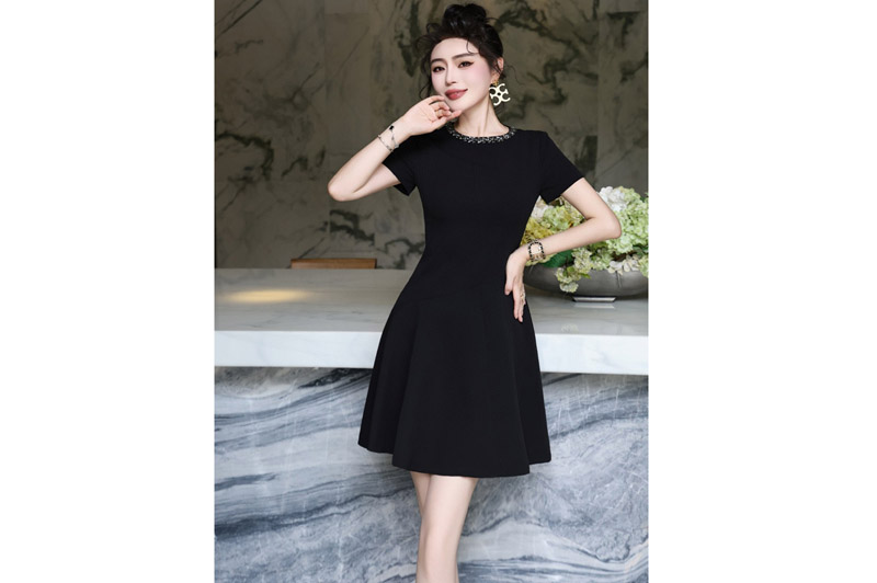 Dior Dress