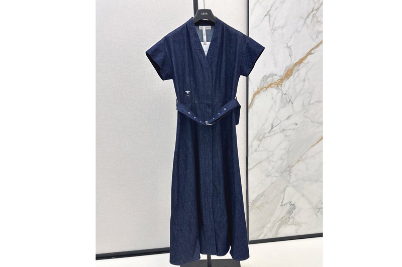 Dior Dress