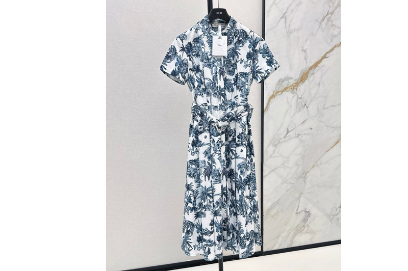 Dior Dress
