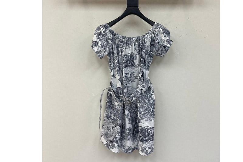 Dior Dress