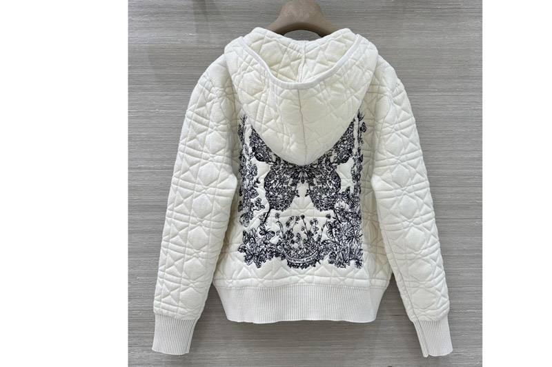 Dior Hoodie and Coat