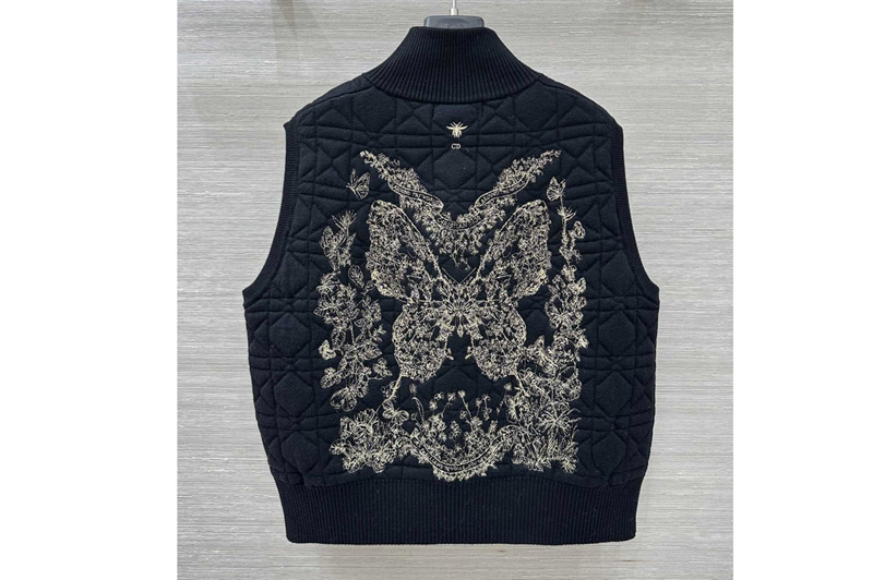 Dior Vest