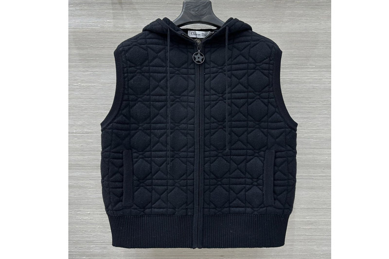 Dior Vest