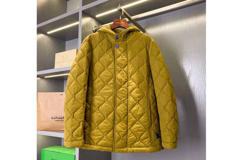 Burberry Jacket and Coat