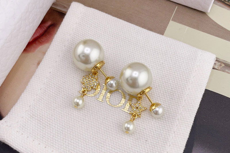 Dior Earrring