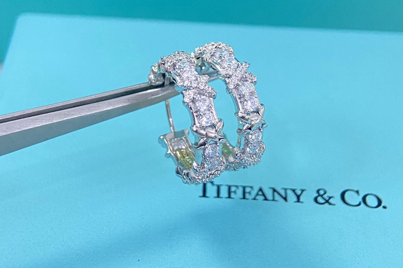 Tiffany Earrring