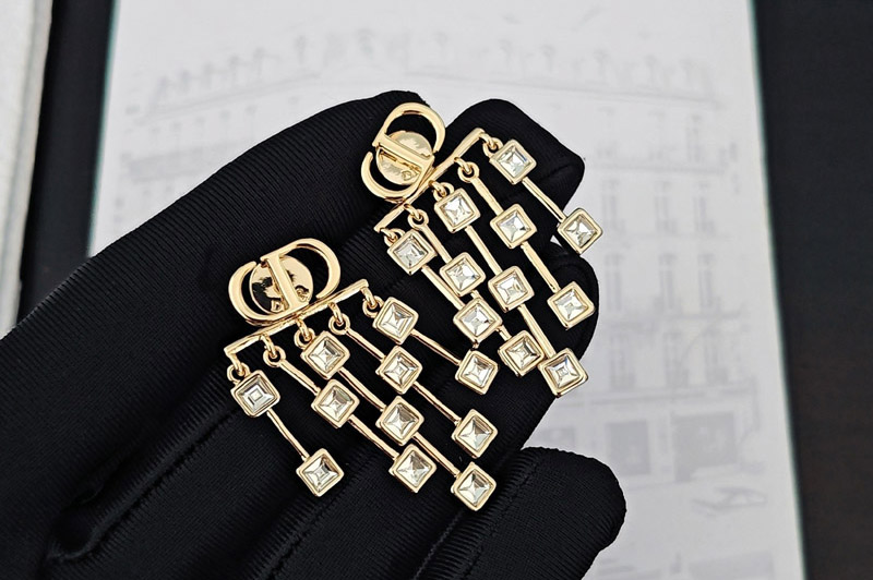 Dior Earrring