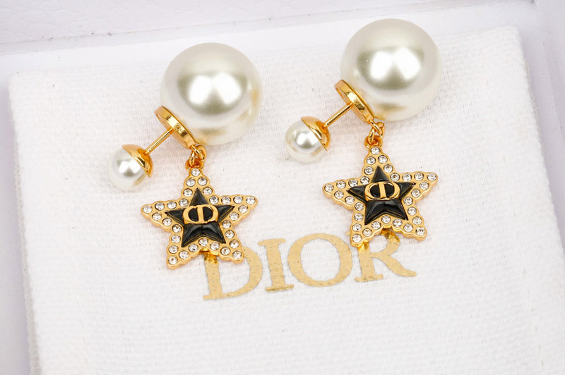 Dior Earrring