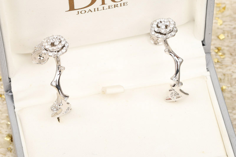 Dior Earrring