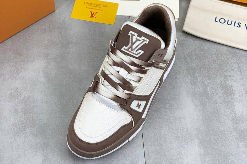 Louis Vuitton Sneaker and Shoe