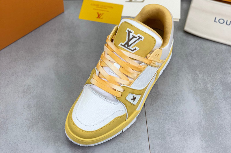 Louis Vuitton Sneaker and Shoe