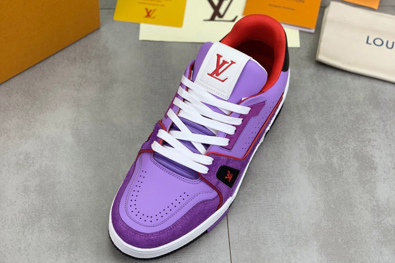 Louis Vuitton Sneaker and Shoe