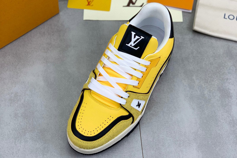 Louis Vuitton Sneaker and Shoe
