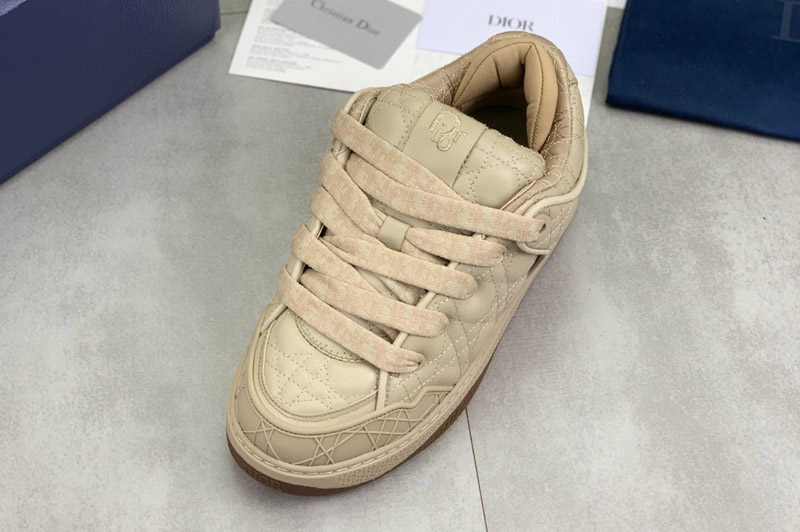 Dior Sneaker and Shoe