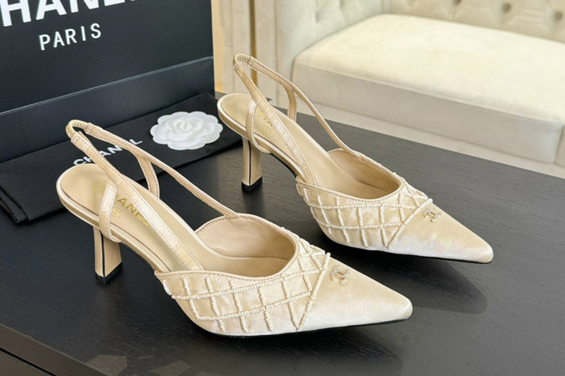 CC Pumps and Shoe