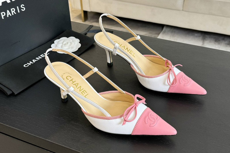 CC Pumps and Shoe