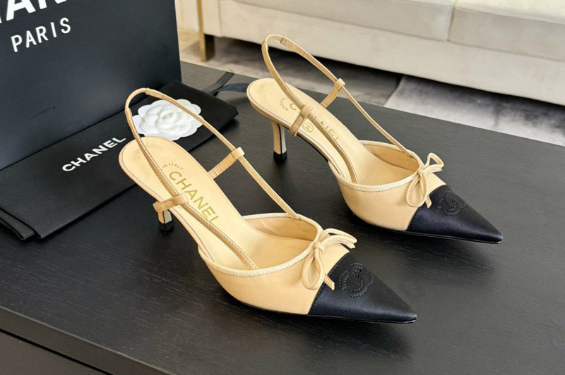 CC Pumps and Shoe