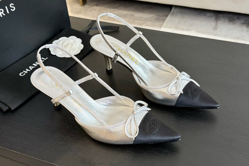 CC Pumps and Shoe