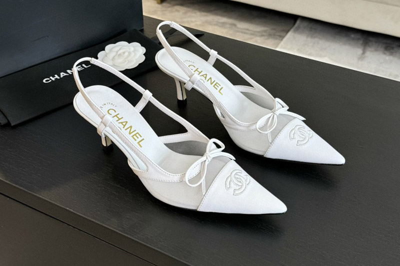 CC Pumps and Shoe