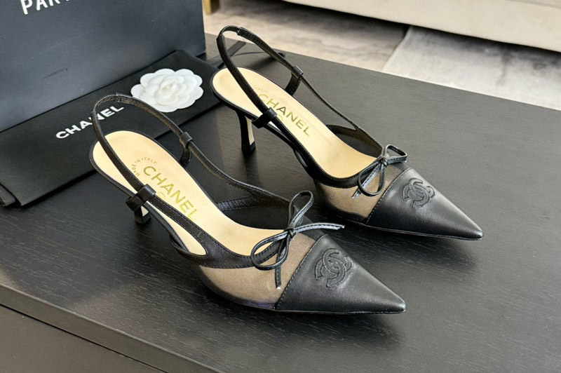 CC Pumps and Shoe