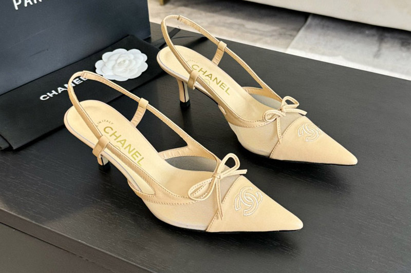 CC Pumps and Shoe