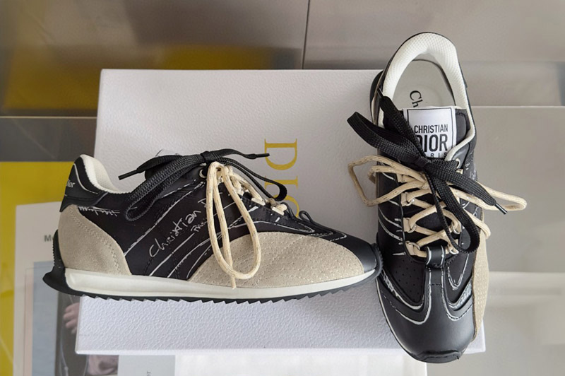 Dior Sneaker and Shoe