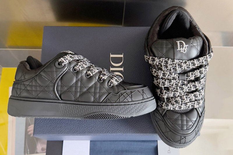 Dior Sneaker and Shoe