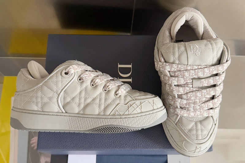 Dior Sneaker and Shoe